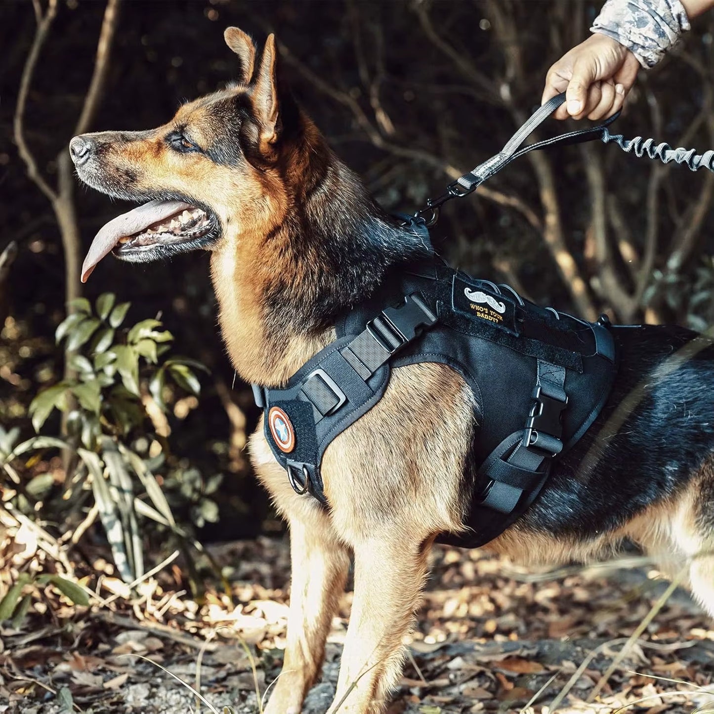 Dog Harness,Tactical Dog Harness with Handle,No-Pull Service Dog Vest with Hook & Loop Panels,Adjustable Dog Vest Harness for Wa