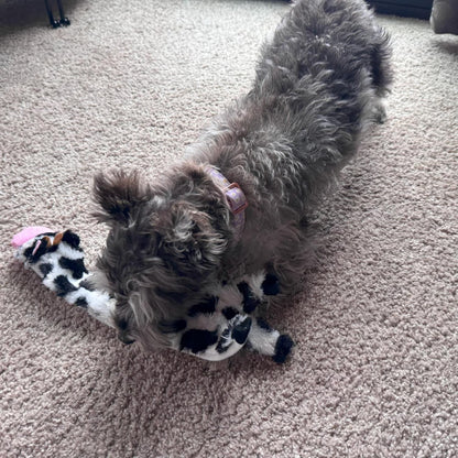 SPOT Skinneeez Crinkle Dog Toy, Stuffing-Free Cow Toy with Squeaker for Small Dogs and Puppies,For Moderate Chewers 14 Inch