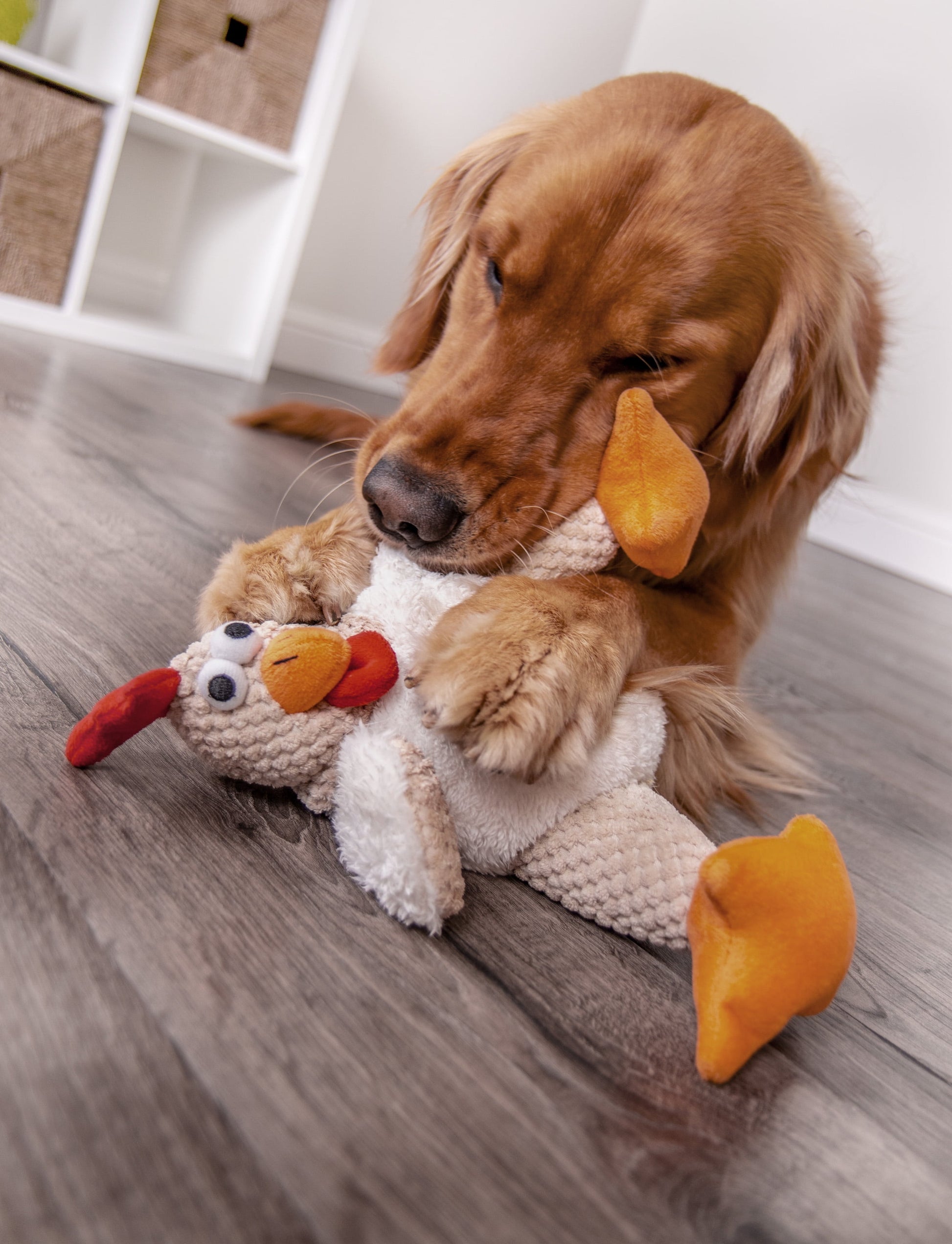 Checkers Fat Rooster Squeaky Plush Dog Toy, Chew Guard Technology - White Large