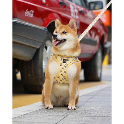 × Pjai & Friends Puppy Harness and Leash Set,Reflective Adjustable Dog Harness for Small Dogs No Pull,Step in Soft Mesh Harness for Extra Small Dogs,Yellow,Xxs