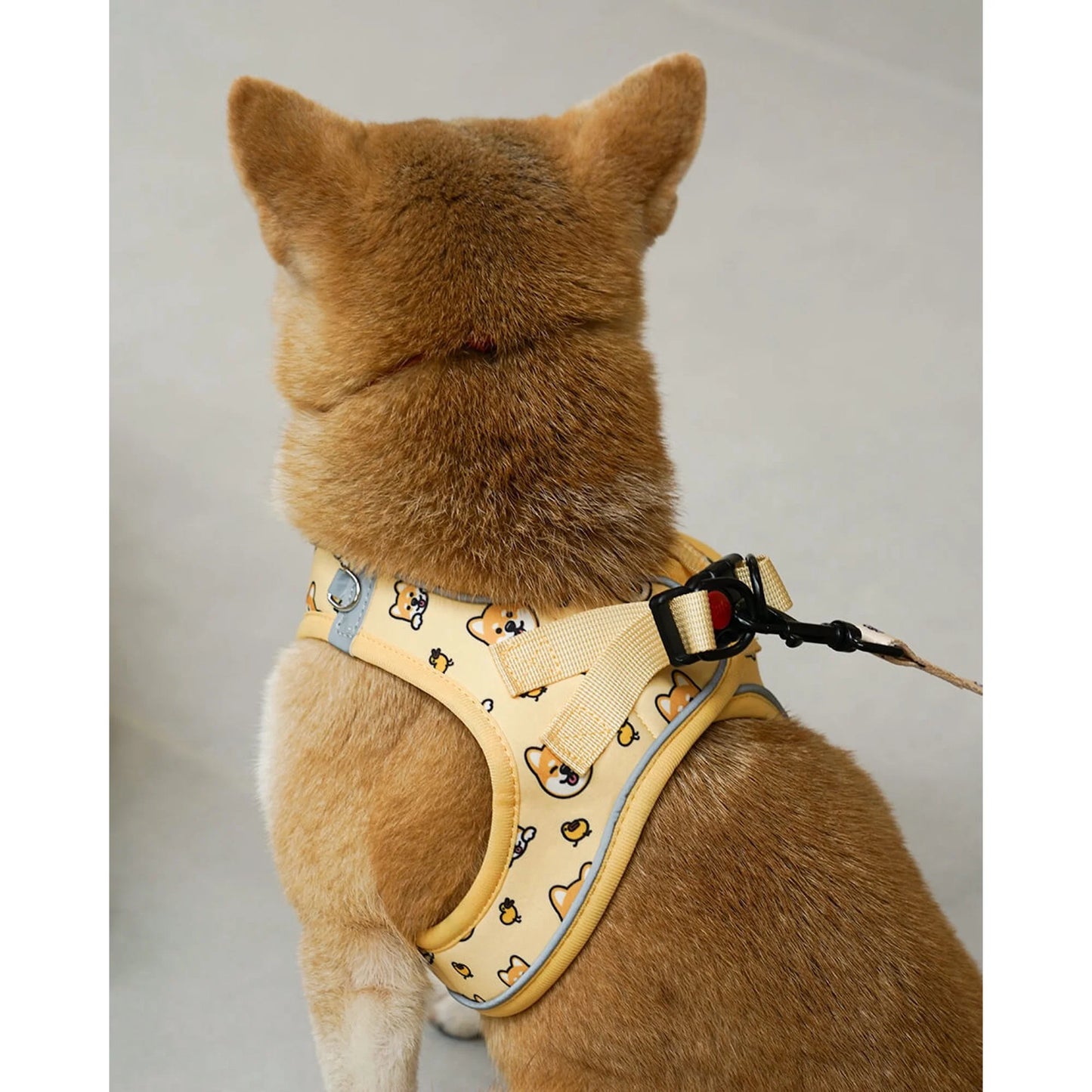 × Pjai & Friends Puppy Harness and Leash Set,Reflective Adjustable Dog Harness for Small Dogs No Pull,Step in Soft Mesh Harness for Extra Small Dogs,Yellow,Xxs