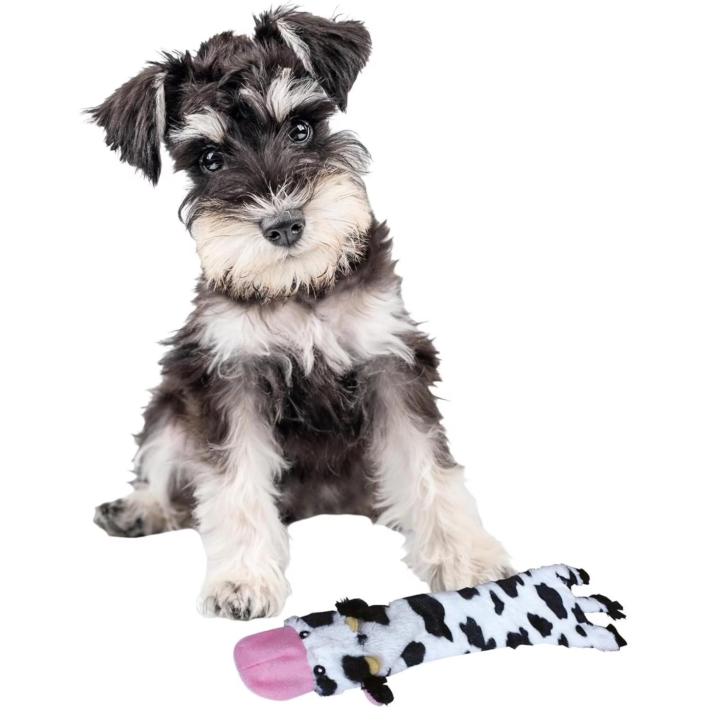 SPOT Skinneeez Crinkle Dog Toy, Stuffing-Free Cow Toy with Squeaker for Small Dogs and Puppies,For Moderate Chewers 14 Inch
