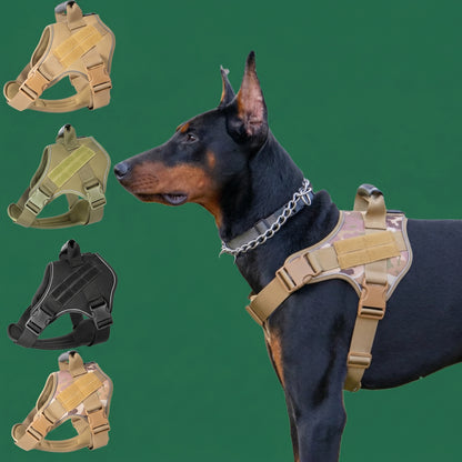 Lightweight Tactical Harness