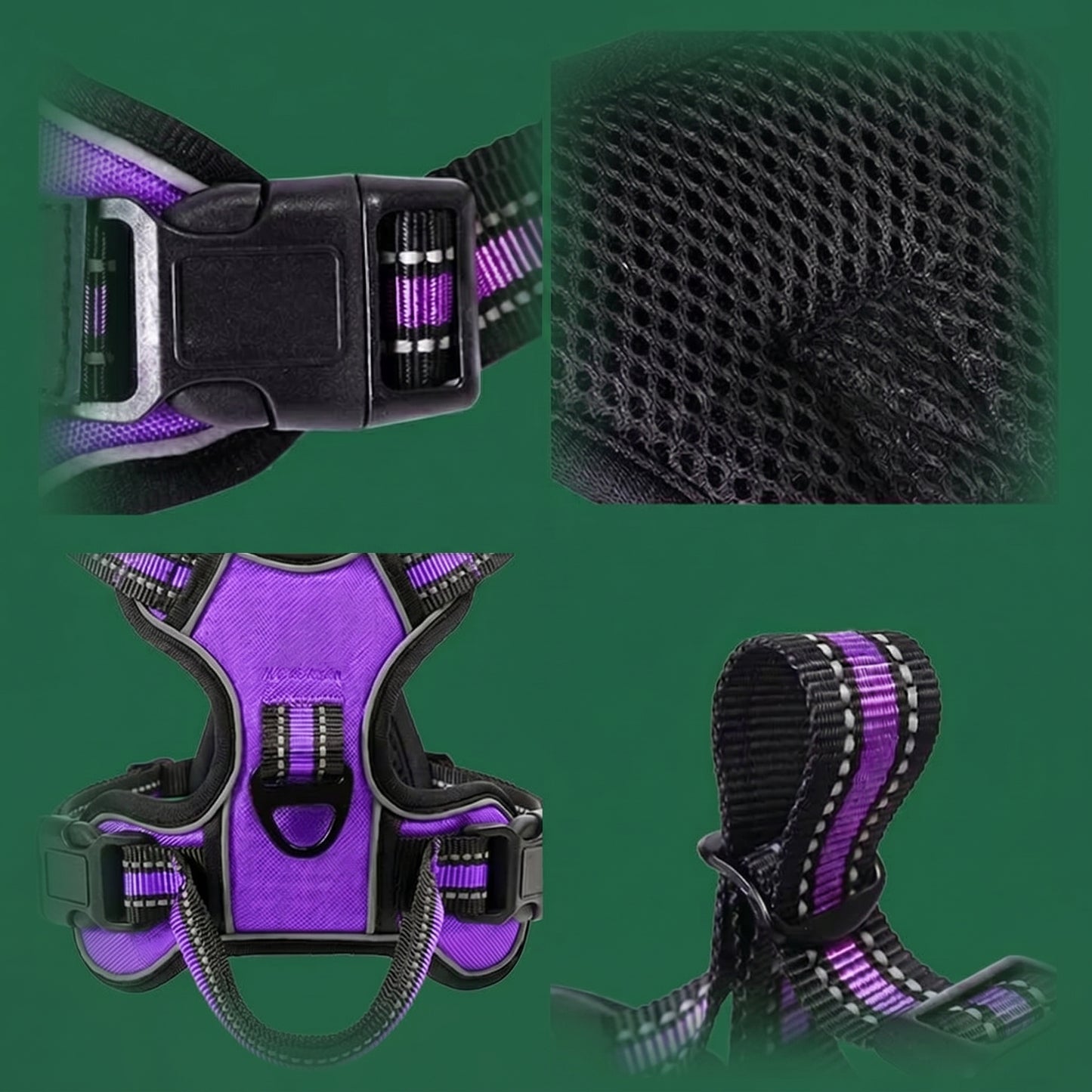 The Adventure Harness