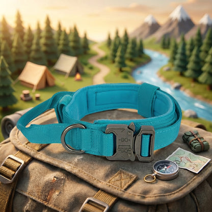 Trail Collar & Leash Set