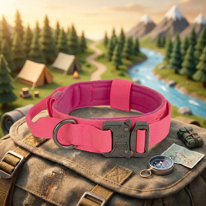 Trail Collar & Leash Set