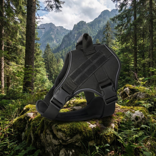 Lightweight Tactical Harness