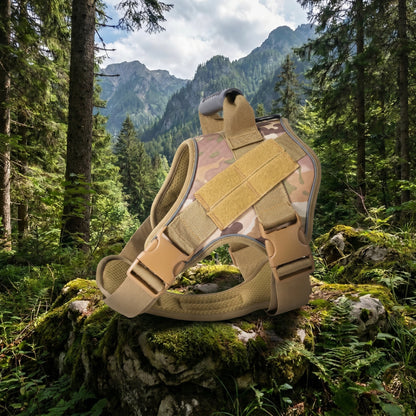 Lightweight Tactical Harness