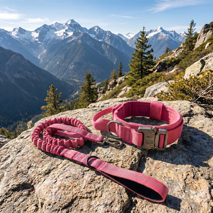 Trail Collar & Leash Set