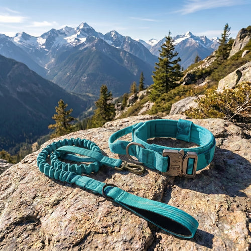 Trail Collar & Leash Set