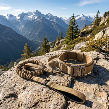 Trail Collar & Leash Set