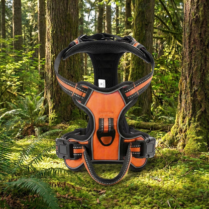The Adventure Harness