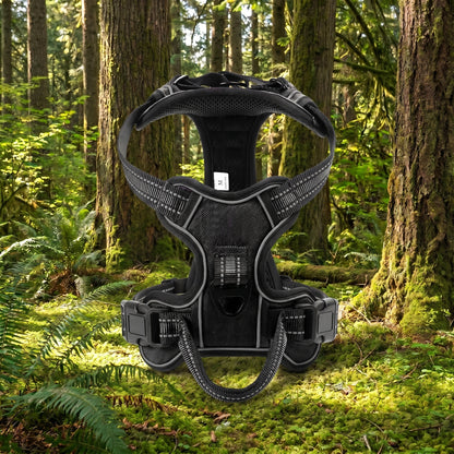 The Adventure Harness