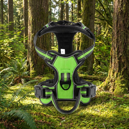 The Adventure Harness